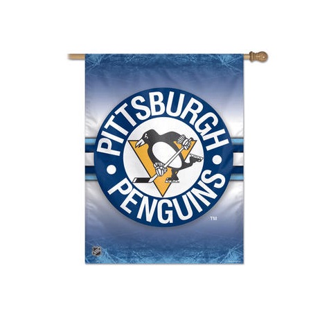 Pittsburgh Penguins on X: New banners this year for the Penguins