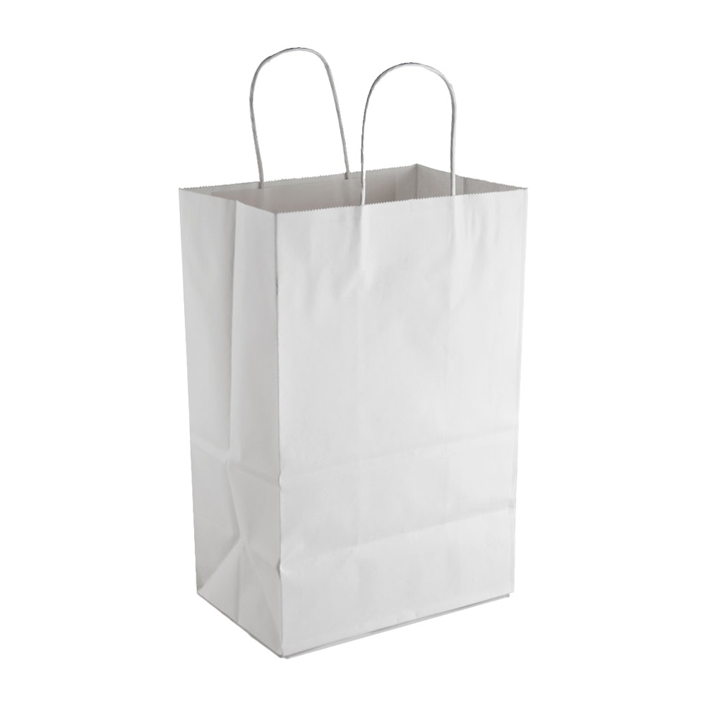 White Shopping Bags - Small – K. A. Artist Shop