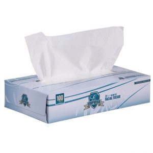 Empress 2ply Facial Tissues Pop-Up Box 100/box